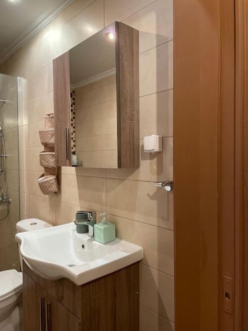 Apartamento Politis' Wooden House Vasilikí Exterior foto